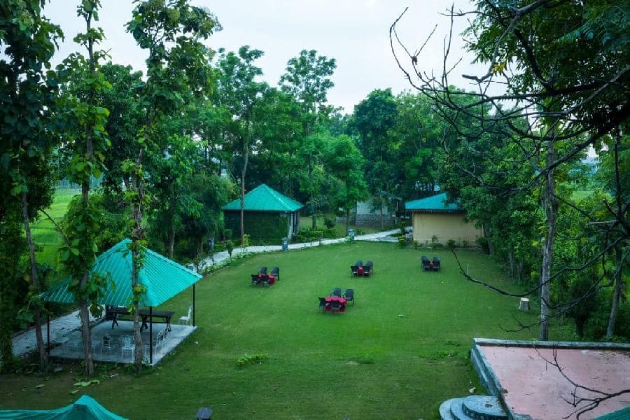 Expansive Lawn